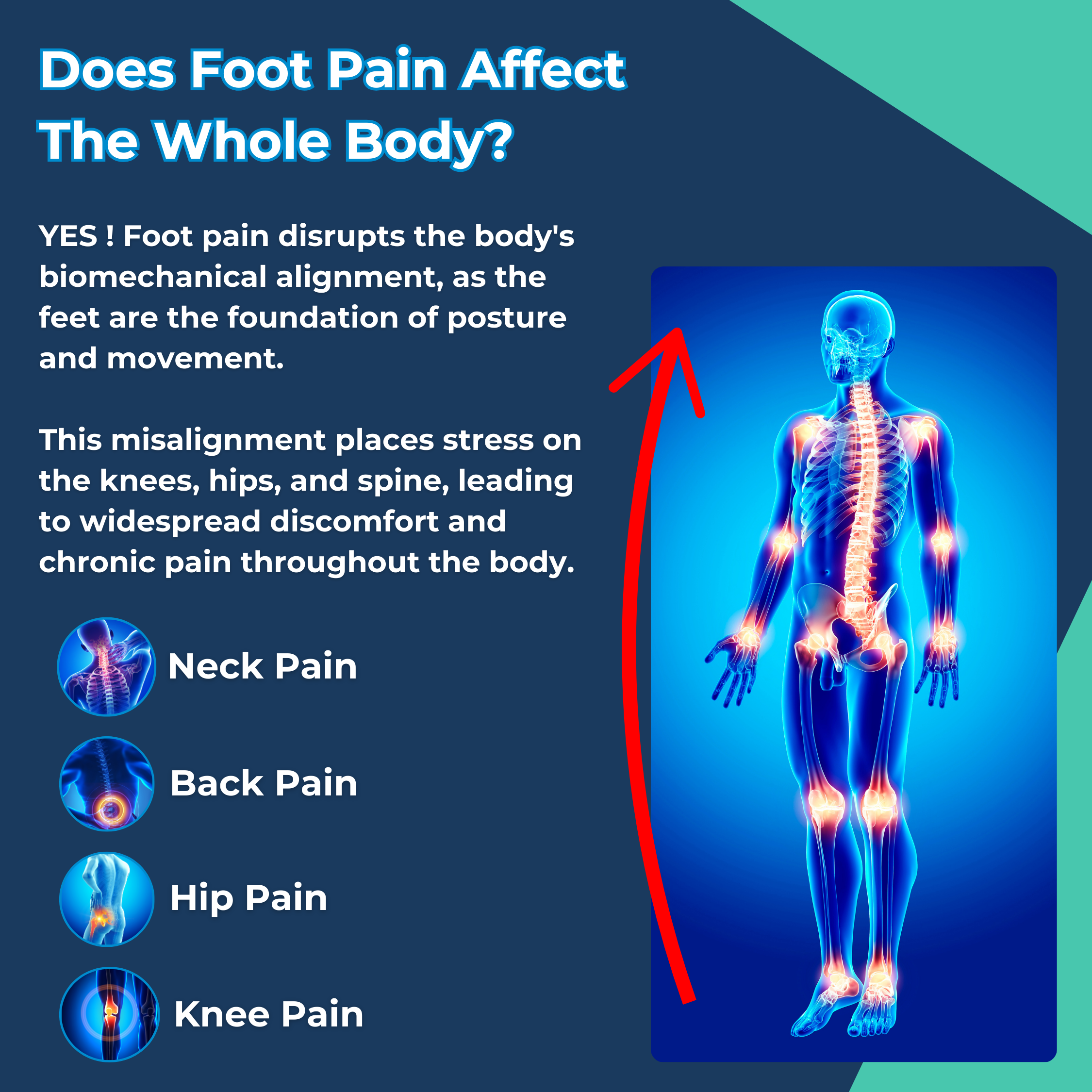 OrthoAlign™ | Engineered Foot Alignment System for Improved Gait & Stability